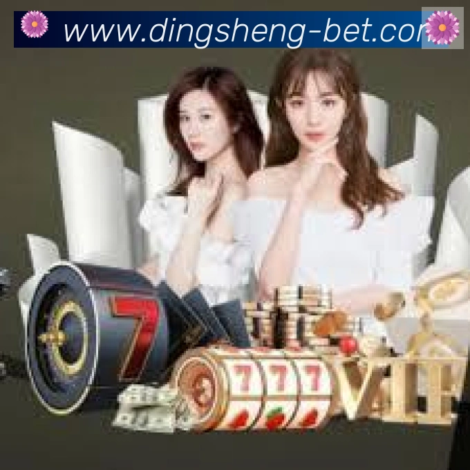奖项证书