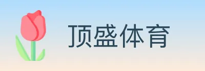 顶盛体育 Logo